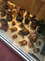 Check out the museums